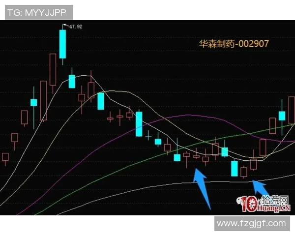 武汉篮球队灵活性分析与战术创新的深度探讨